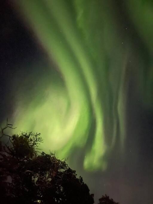 Appartement Leilighet I Rolig Gate Med Utsikt Og Gratis Parkering à Tromsø Extérieur photo