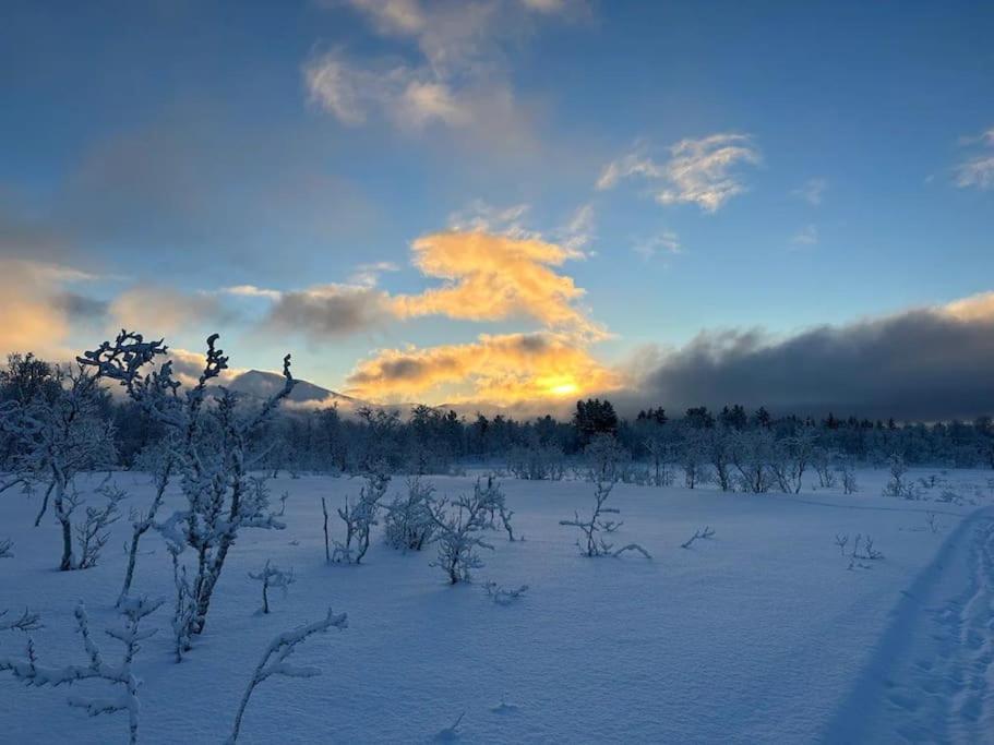 Appartement Leilighet I Rolig Gate Med Utsikt Og Gratis Parkering à Tromsø Extérieur photo